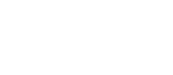 Sosnowski domy szkieletowe logo